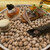 La.賊 - 料理写真:生豆のキャンバスに美しい4種の前菜