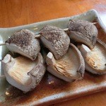 炭焼の串 クマノ きむら - 