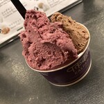 Curry Spice Gelateria KALPASI - 