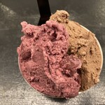 Curry Spice Gelateria KALPASI - 