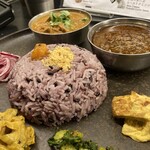 Curry Spice Gelateria KALPASI - 