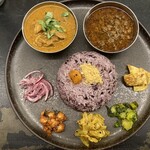 Curry Spice Gelateria KALPASI - 