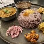 Curry Spice Gelateria KALPASI - 