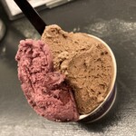 Curry Spice Gelateria KALPASI - 