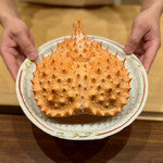 鎌倉 北じま - イバラガニモドキ