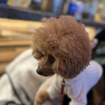 THE NUTS EXCHANGE - おやつが欲しいらしい