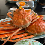 りぞうと旅館 宿かり - 