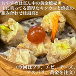 Shuumai Kakeru - 