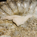 馳走 啐啄一十  - 【写真⑫】虎河豚(愛媛県伊予灘産、脱水、7日熟成)