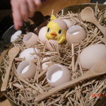 神保町 傳 - またまたぴーよこちゃん再登場