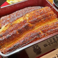 炭焼 うな富士 有楽町店 - 上うな重 5,400円
