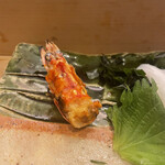 鮨寛 西麻布本店 - 