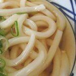 丸亀製麺 - 丸亀製麺 「かけうどん」