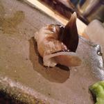 器楽亭 - 激ウマだったトリ貝！モノが違う♪