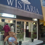 WISTARIA - 