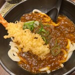 かすうどん 風土 - 