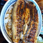 うなぎ専門店 本多 - うな丼 アップ