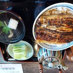 うなぎ専門店 本多 - うな丼