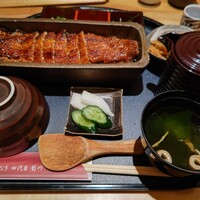 うなぎ四代目菊川 ミッドランドスクエア 名古屋本店 - 