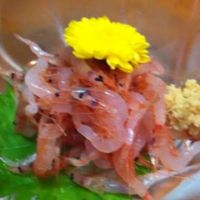 浅草 魚料理 遠州屋 - さくらえび