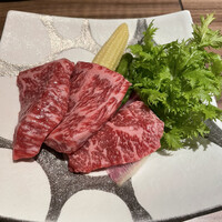 肉割烹 五条 新宿野村ビル49F - 
