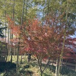 播磨屋本店 姫路店 - お庭がいつも綺麗