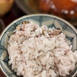 ドックカフェ 風音 - 