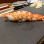 鮨 青海 - 車海老。