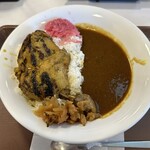 Sukiya - 炭火焼きほろほろチキンカレー 並盛、690円