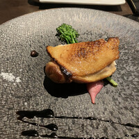 オッジ ダルマット 西麻布店 - 