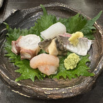 Osushi Usami - 