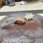 こい勢 - イシナギ（スズキ科）