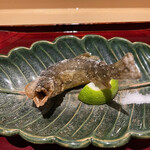 銀座 しのはら - 