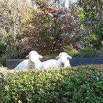 ル・シュクレクール - お迎えしてくれます