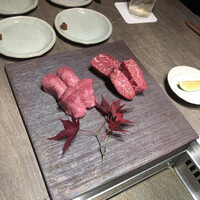 USHIGORO S. NISHIAZABU -  USHIGORO S. NISHIAZABU -