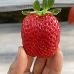 姫路ハートフル観光農園 - 