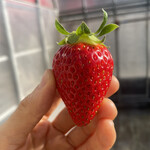 姫路ハートフル観光農園 - 