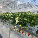 姫路ハートフル観光農園 - 