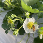 姫路ハートフル観光農園 - 