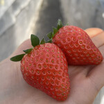 姫路ハートフル観光農園 - 