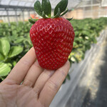 姫路ハートフル観光農園 - 