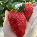 姫路ハートフル観光農園 - 