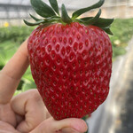 姫路ハートフル観光農園 - 