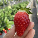 姫路ハートフル観光農園 - 