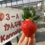 姫路ハートフル観光農園 - 