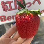 姫路ハートフル観光農園 - 