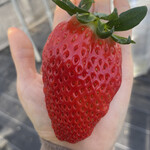 姫路ハートフル観光農園 - 