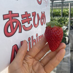 姫路ハートフル観光農園 - 