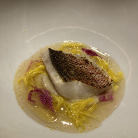 レフェルヴェソンス - 