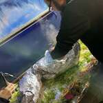 インド・パキスタン料理 アルバラカ - 